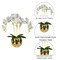 Amira Large Real Touch Phalaenopsis Orchid Floral Arrangement in Round Ribbed Gold Vase